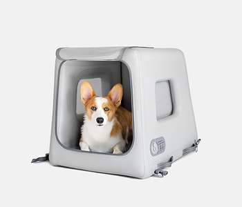  a corgi sitting inside of an open Enventur 
