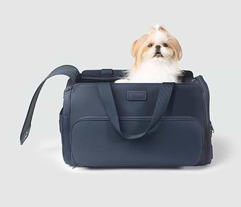 A small dog sitting inside of a blue Passenger pet carrier bag 