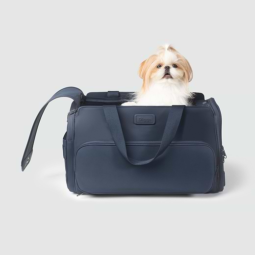 Diggs Passenger Carrier