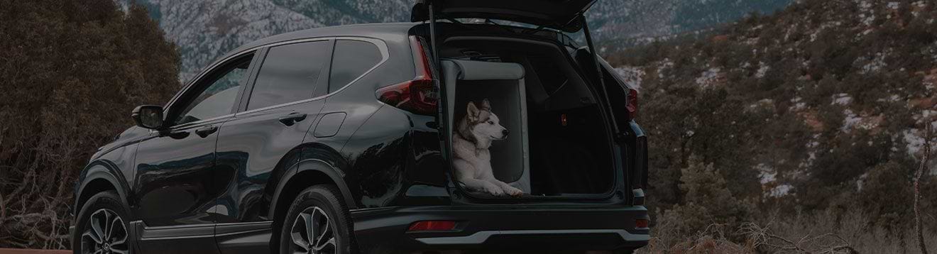 A dog sitting in an Enventur Kennel in the back of a black SUV