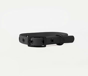  An extra small size Diggs Charcoal(midnight black) collar. 