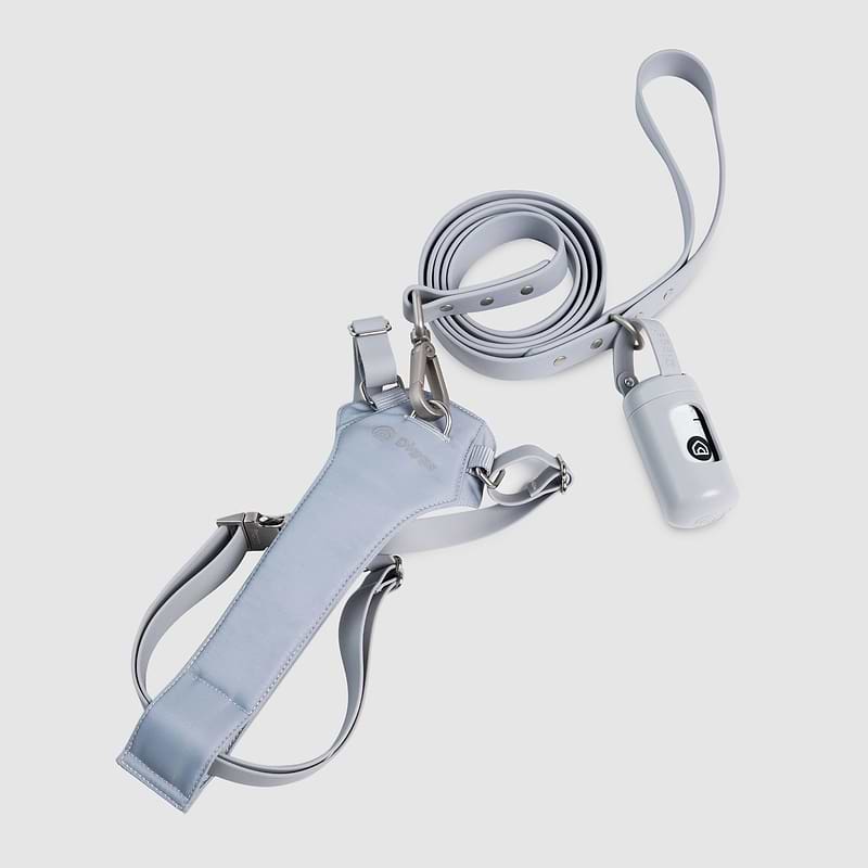 A gray harness, leash, and poop bag dispenser
