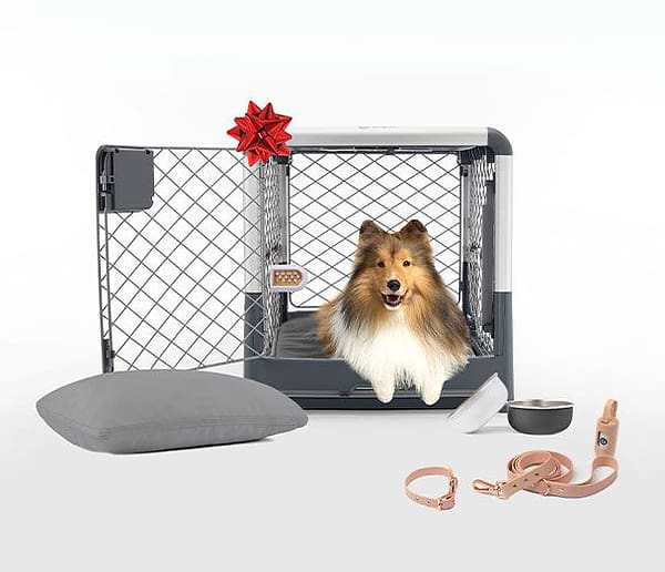 Puppy gift registry outlet