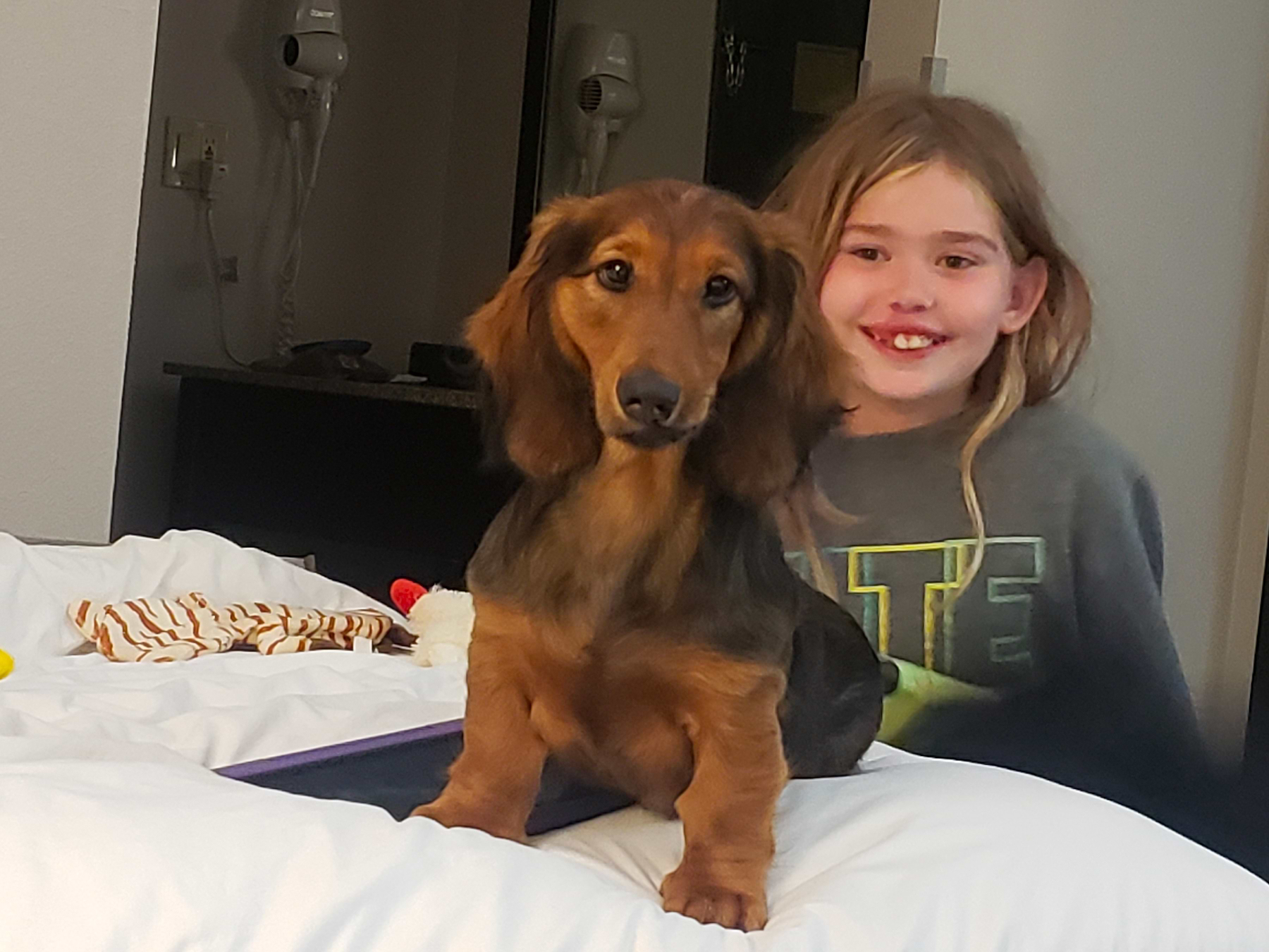  a little girl sitting on a bed with a dachshund 