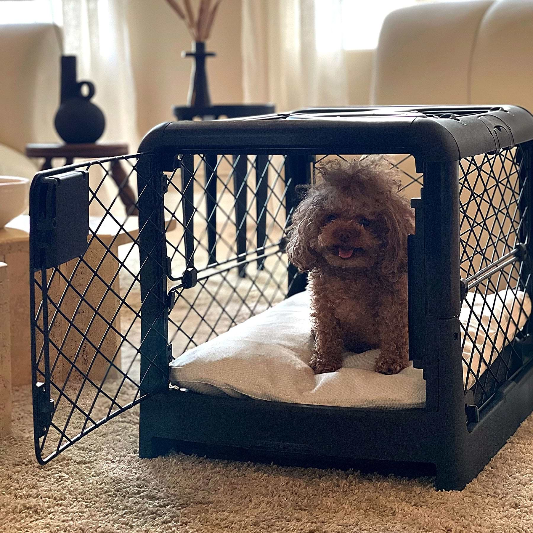  A cute puppy sitting on the Puppy divider inside the Revol Crate with the front door open. 