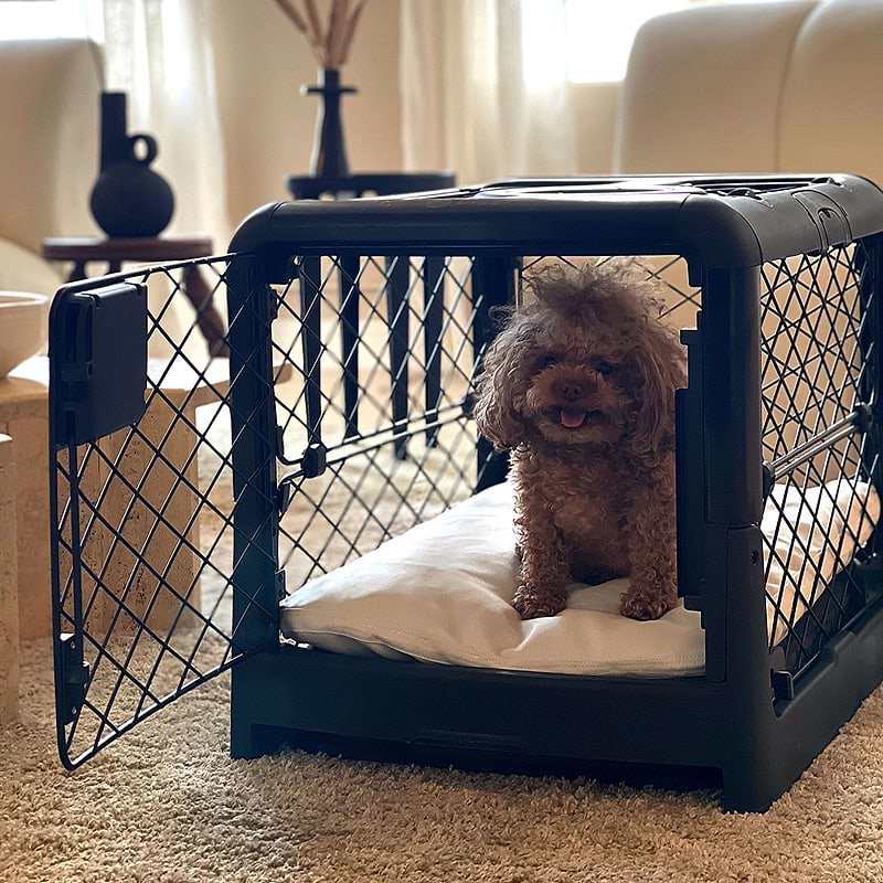 A cute puppy sitting on the Puppy divider inside the Revol Crate with the front door open.