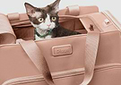 A cat sitting inside of a pink Passenger pet carrier bag