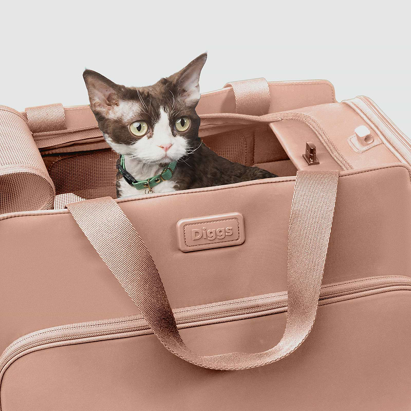A cat sitting inside of a pink Passenger pet carrier bag