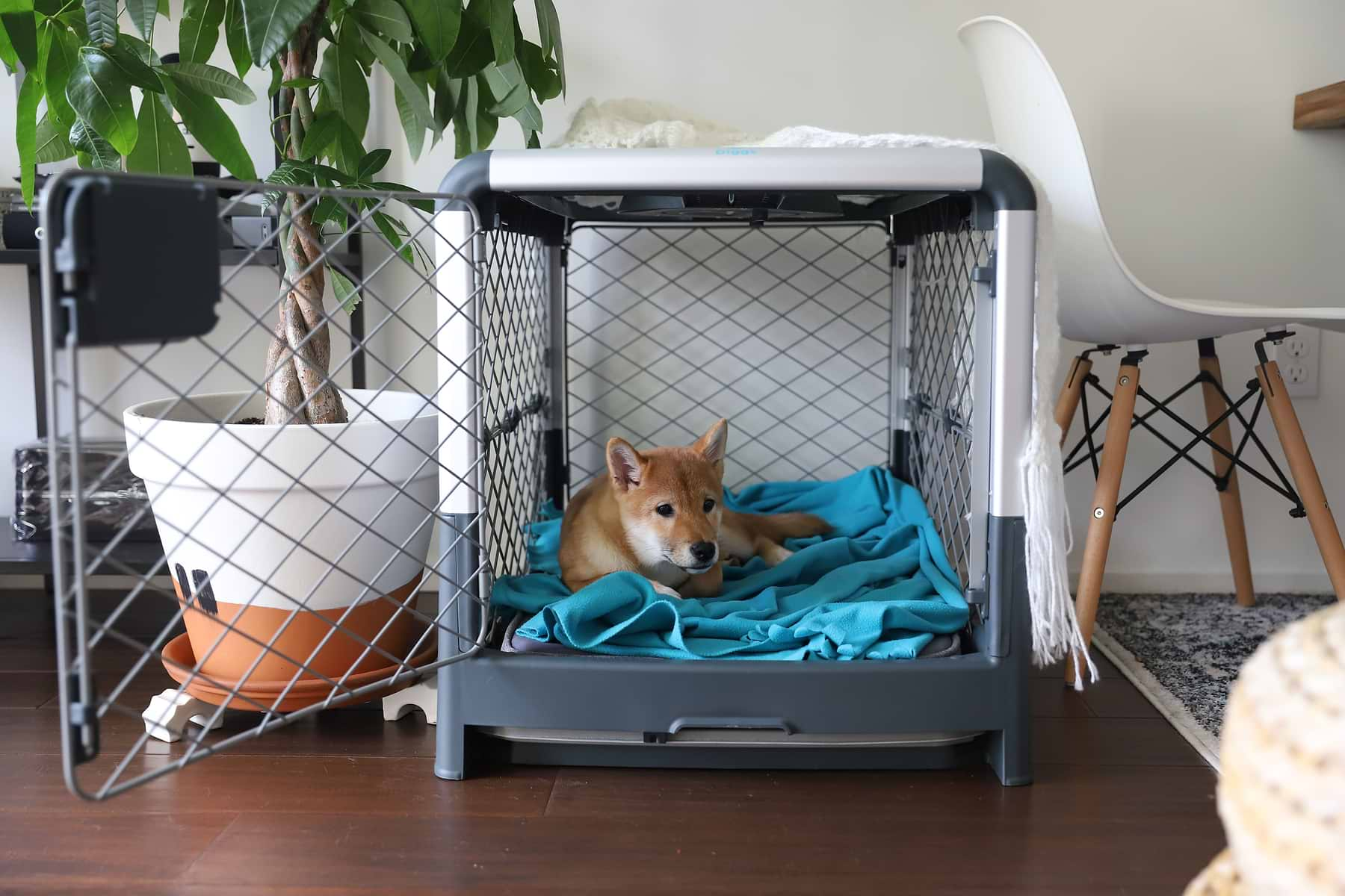 A dog lying on the blue blanket inside the Revol Crate.