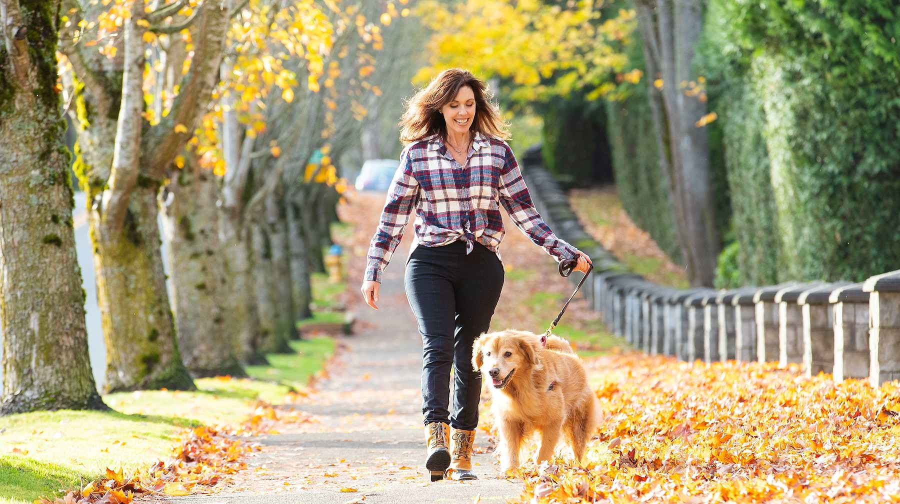  a woman walking a dog down a leaf covered path 