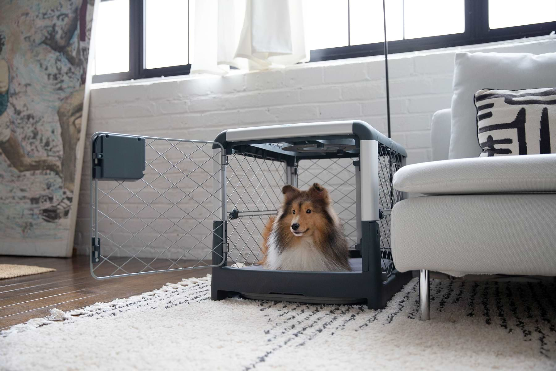 In a living room set up, a Revol Crate was placed next to the couch while the dog was inside sitting.