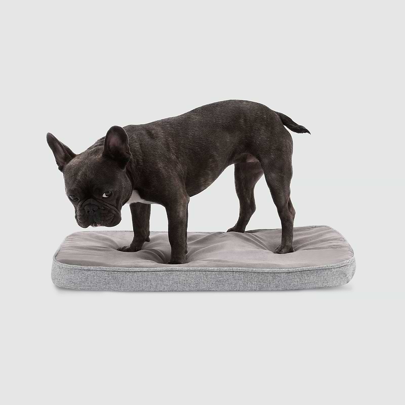  A black dog standing on top of a dog bed 