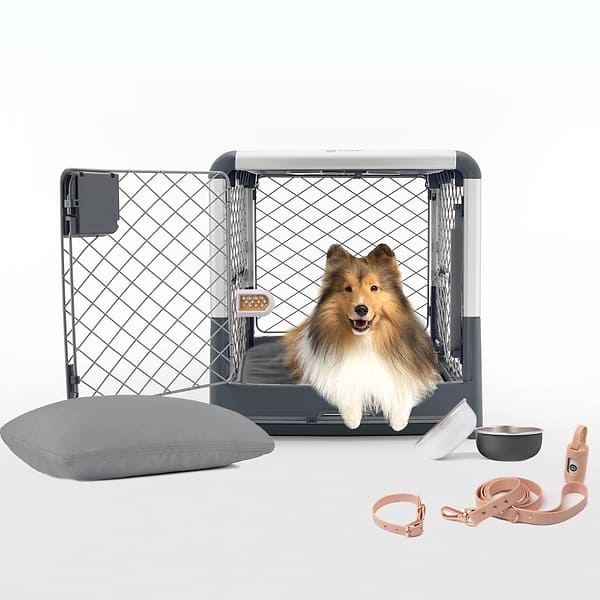 Revolutionary Dog Crates and Pet Beds - DIGGS® - Diggs