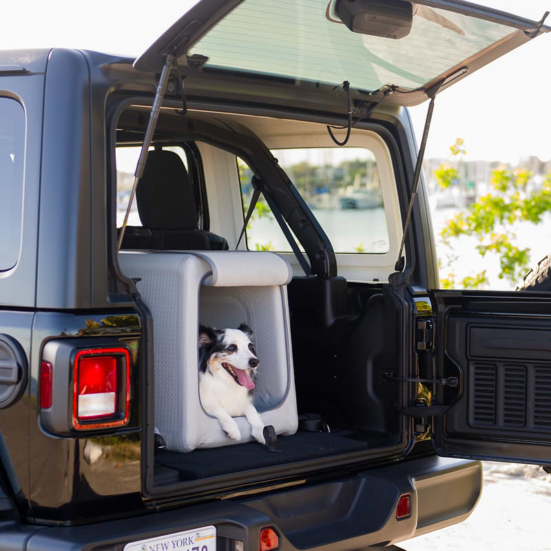 a dog is sitting in an open enventur in the open trunk of a car