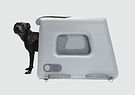 A small black dog peering out of an Enventur travel kennel