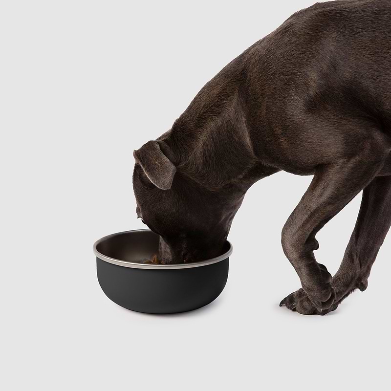 Best water bowl hotsell for dog crate