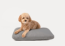Dog proof pillow case hot sale