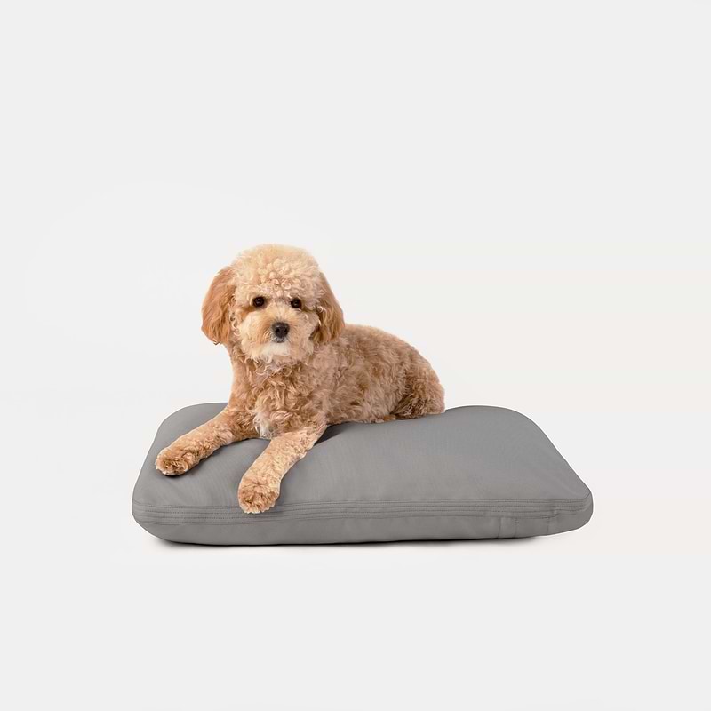 How Do You Potty Train a Puppy A How To Guide Diggs