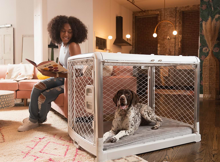  Dog in a large Ash Revol Dog Crate next to a woman on a couch in a modern livingroom 