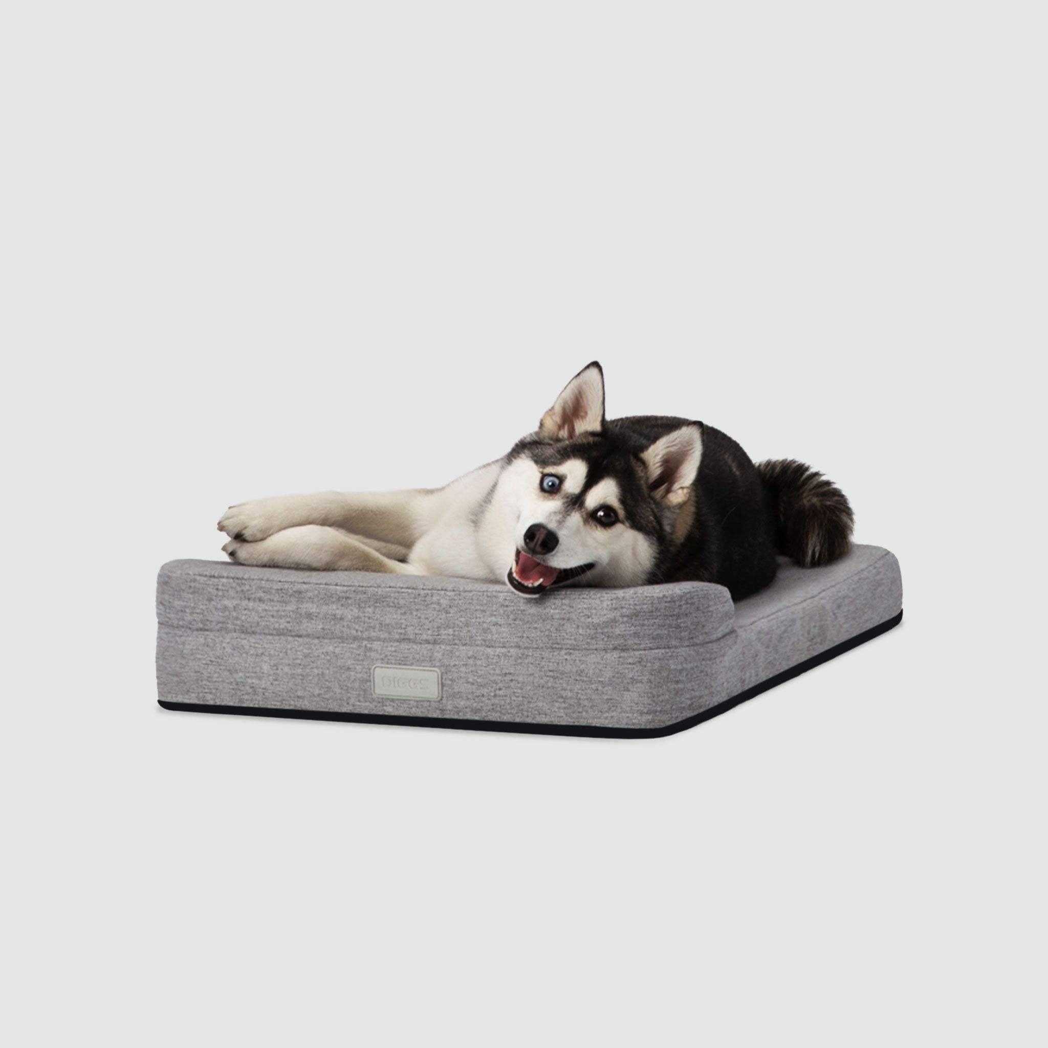 A husky dog laying on top of a dog bed