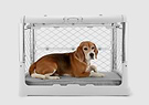 A beagle dog laying in a dog crate