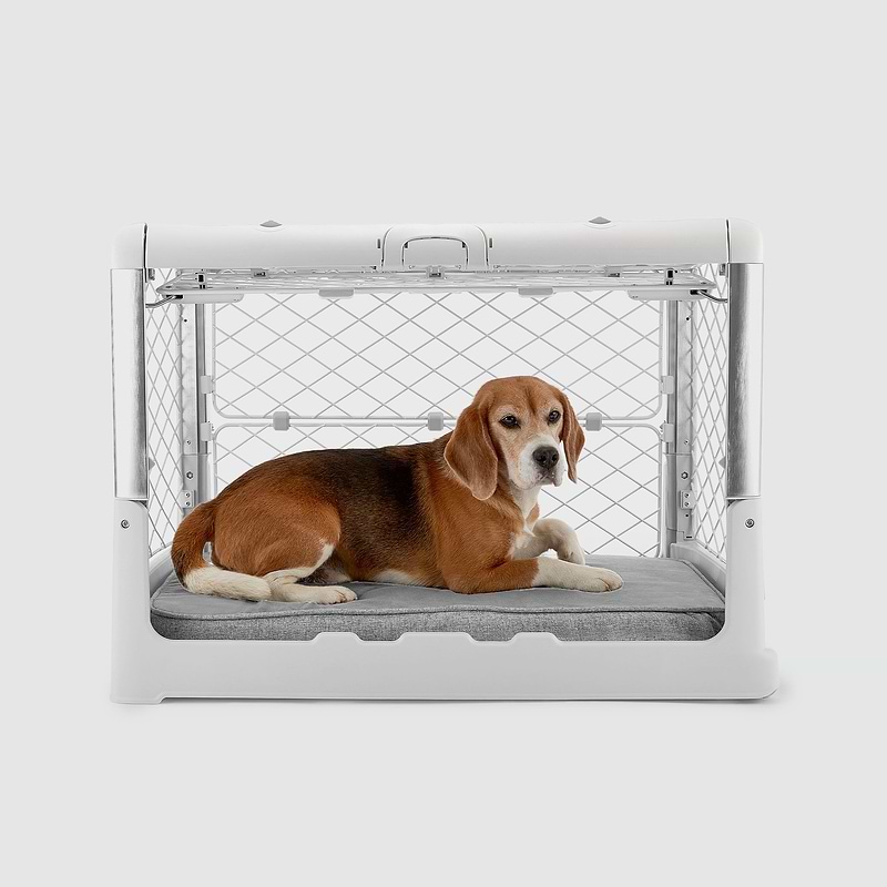 A beagle dog laying in a dog crate