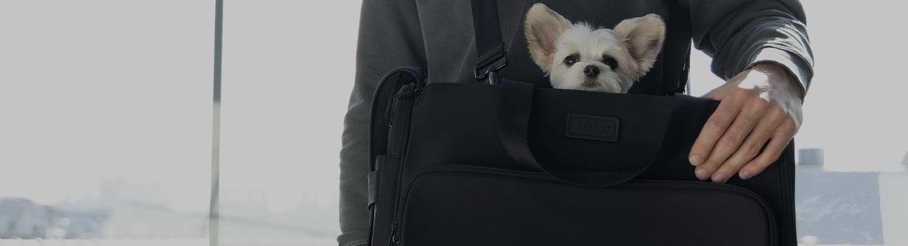 A person holding a black Passenger pet carrier bag with a small dog in it