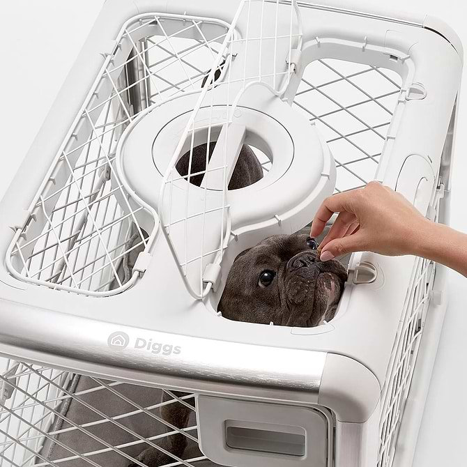 A person feeding a dog something through the Revol ceiling hatch