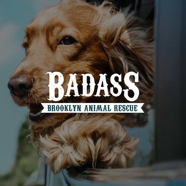  a brown dog sticking its head out of a car window with the words badass animal rescue 