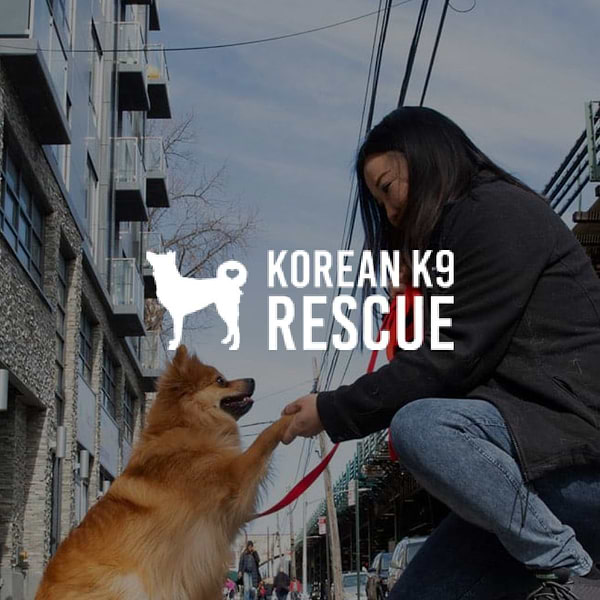  A girl holding a dog in the street with a white logo of a dog and a text Korean K9 rescue.  