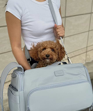  Woman carrying dog in Passenger carrier with shoulder strap 