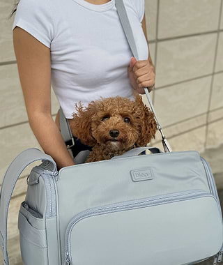 Woman carrying dog in Passenger carrier with shoulder strap