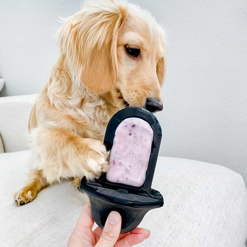 A dog enjoying the treats on the Groov Training in Charcoal.