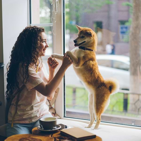  a woman sitting on a window sill petting a dog 