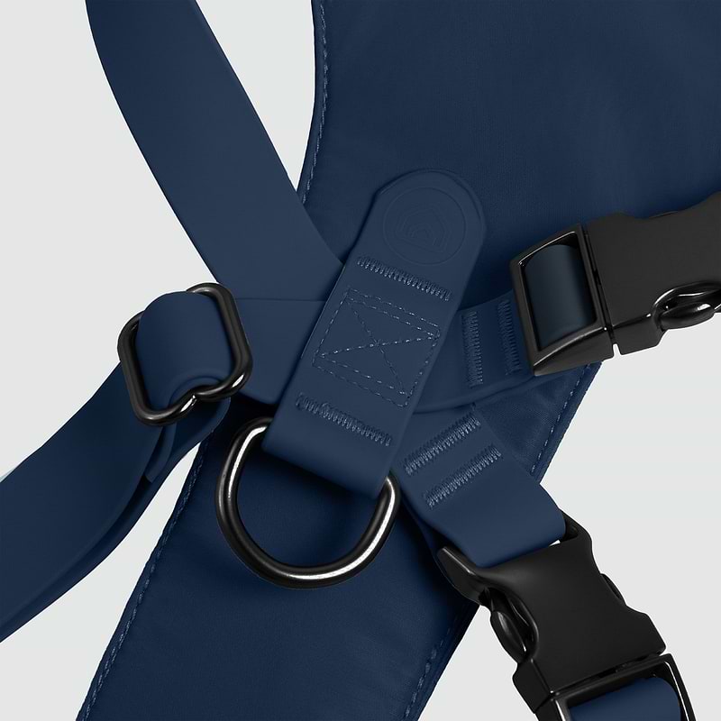 A close up of a blue harness