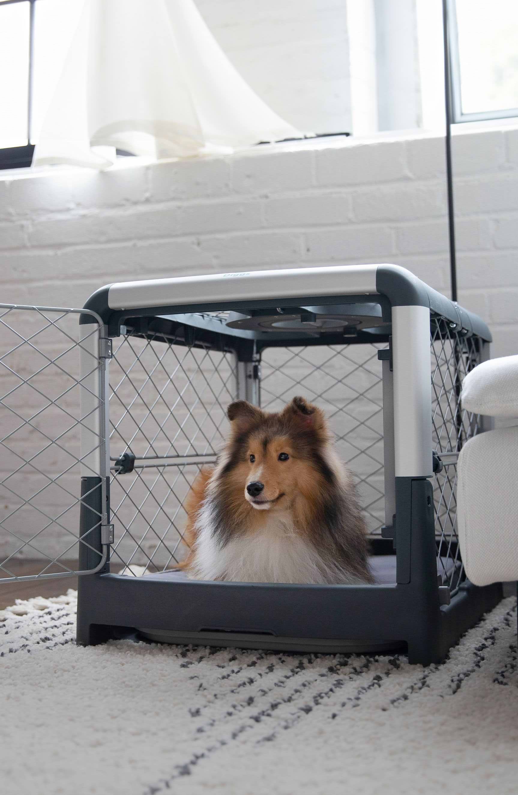 Revolutionary Dog Crates and Pet Beds - DIGGS® - Diggs
