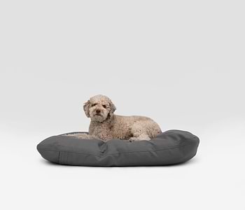  a dog laying on a grey pillo on a white background 