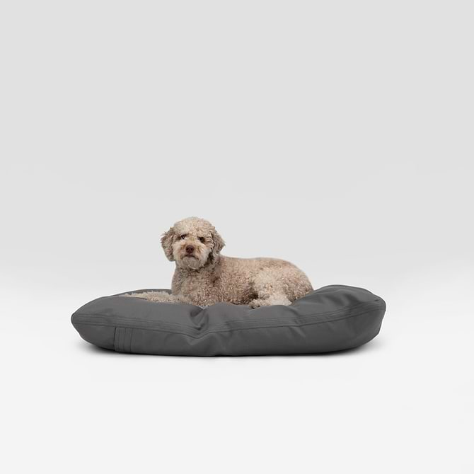  a dog laying on a grey pillo on a white background 