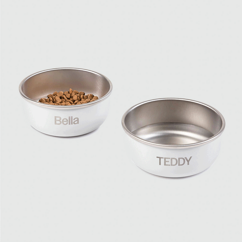 Animated gif displaying different dog names engraved on the DIGGS crate bowl