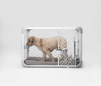  Side view of dog inside of Evolv Dog Crate with open side door. Diggs Crate Bowl, Groov Training Aid, and Bolstr Dog Bed are in use inside the crate. 