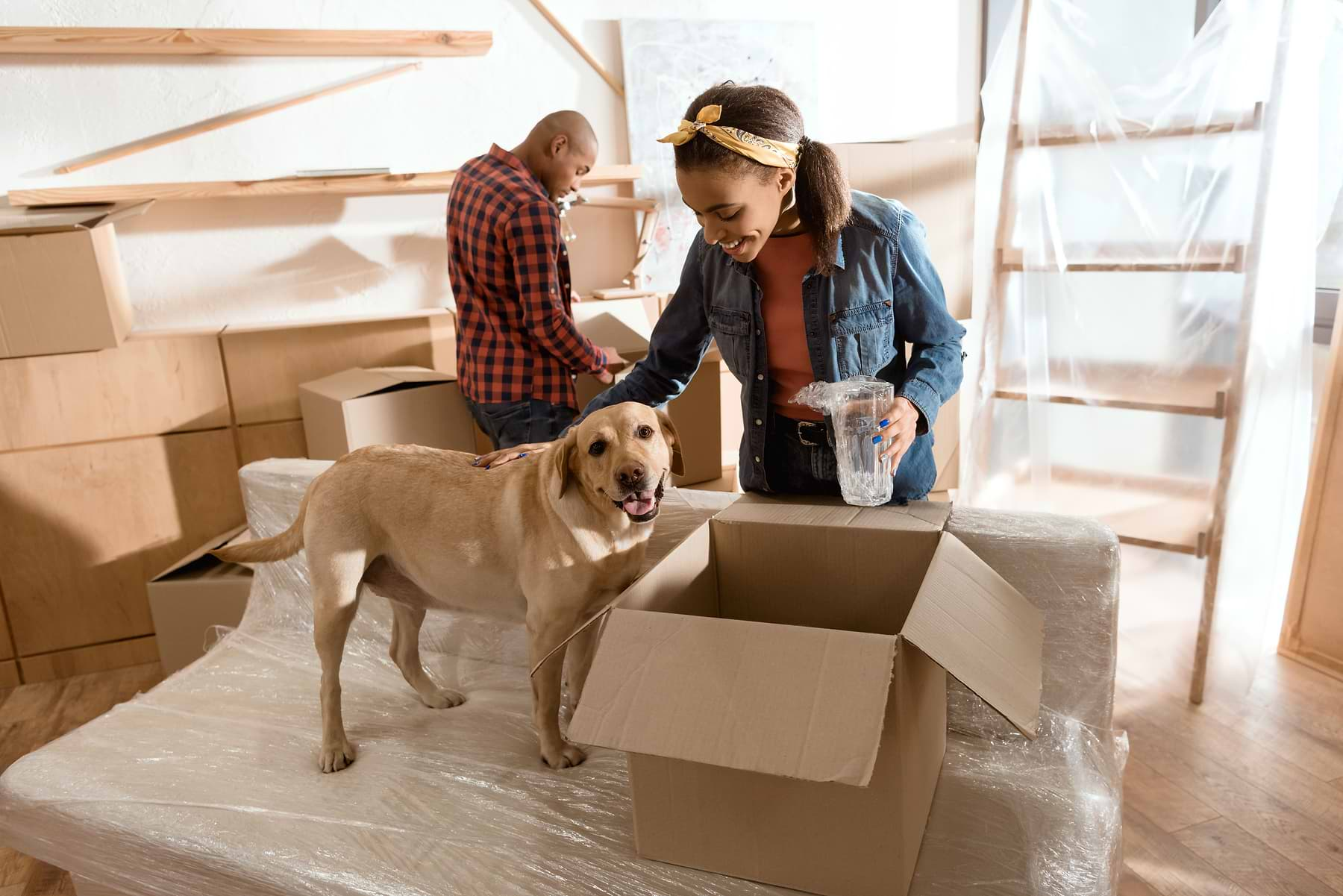  2 pet owners with their brown dog standing on the top of a newly delivered couch next to the box. 