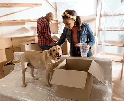  2 pet owners with their brown dog standing on the top of a newly delivered couch next to the box. 