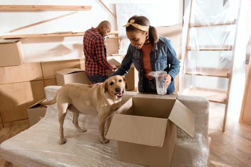2 pet owners with their brown dog standing on the top of a newly delivered couch next to the box.
