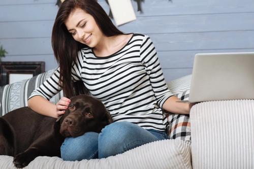A dark brown dog lying on a girl's lap while they are on the sofa.