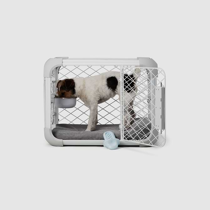 A dog in a dog crate with an attached bowl and bed