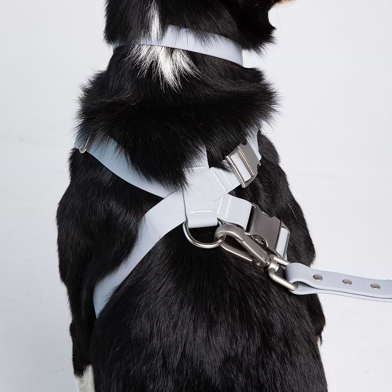 Classic Harness Diggs