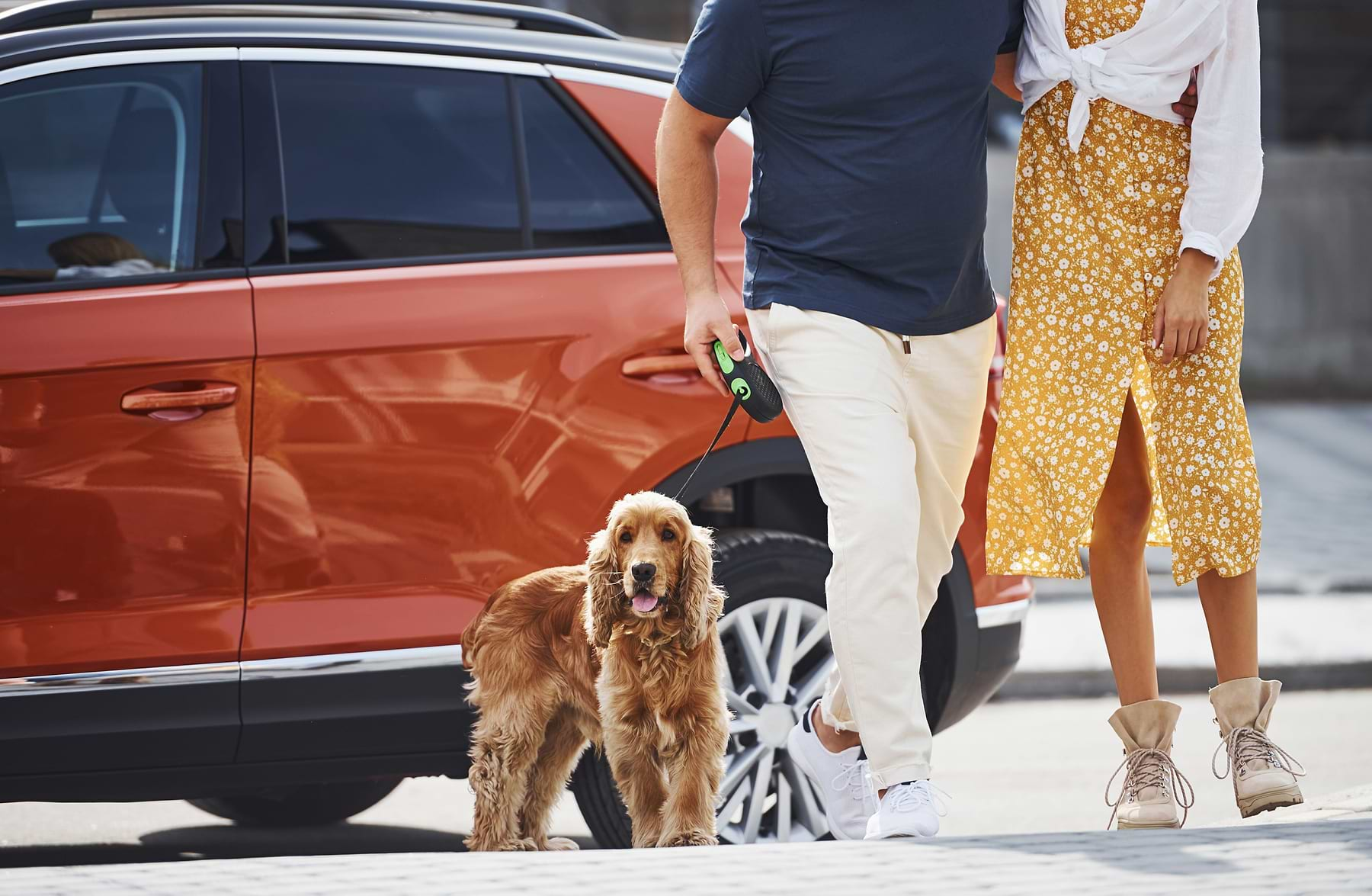  A couple walking together while the man holds a leash for his brown dog. 