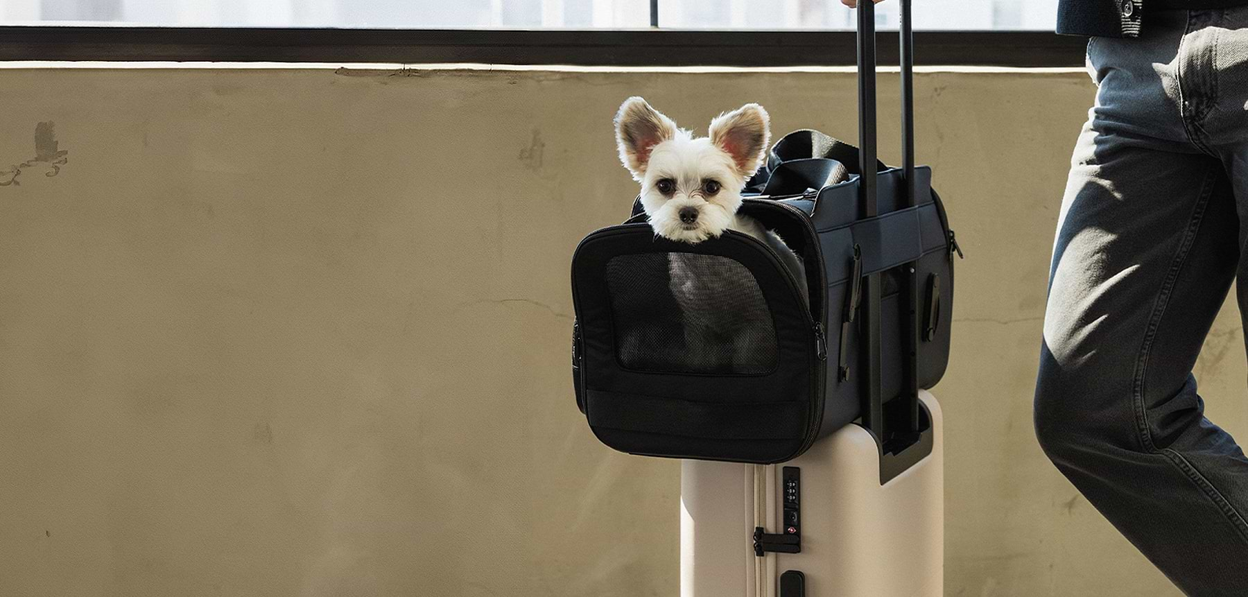  Passenger Travel Carrier with dog inside, fastened to a suitcase and wheeled by a man 