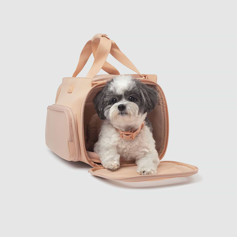 A small dog sitting inside of a pink Passenger pet carrier bag