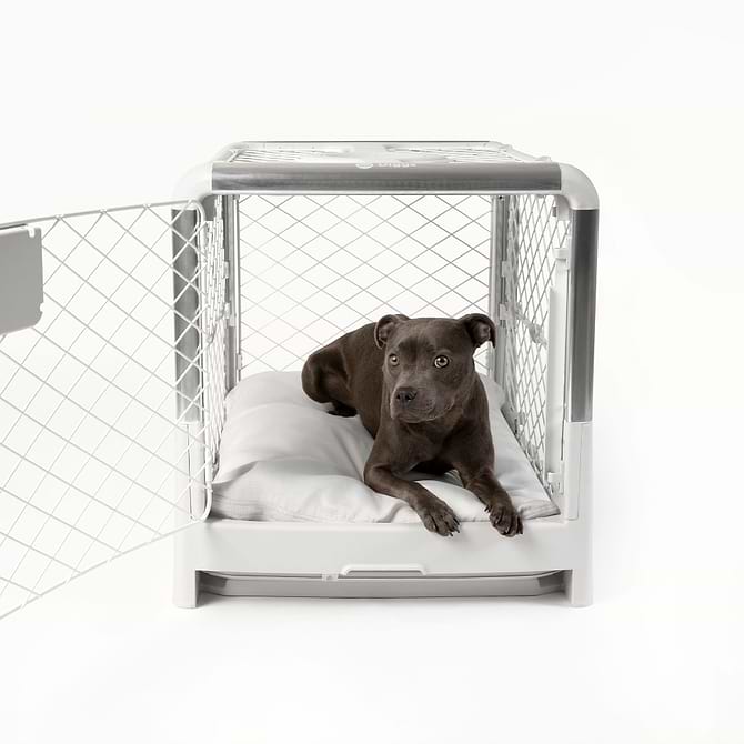 A Dog lying on the Pillo inside the Open door Revol Crate in Ash.